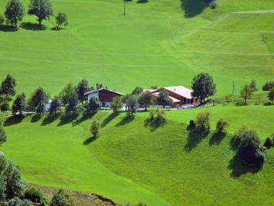 Bild 5 aus  Taxengut