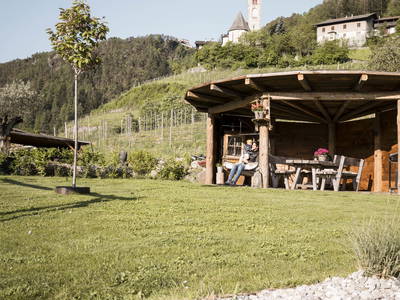 Bild 25 aus  Bachmannhof