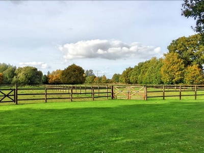 Bild 7 aus  Ferienhaus / Chalet auf dem Gestüt Lohhof mit Kinderreiten oder Pony Reiten