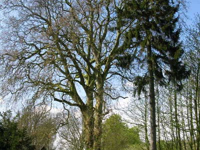 Bild 19 aus  Gut Hohenhain