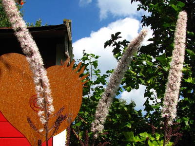 Bild 30 aus  Franzen Hof  Koch