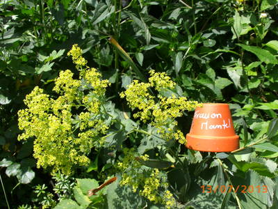 Bild 21 aus  Beim Schmied