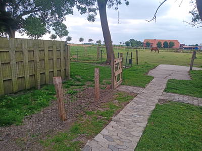 Bild 3 aus  Erholung auf dem Bauernhof