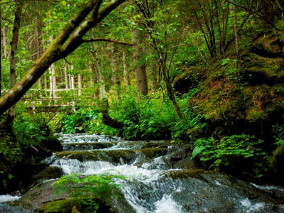 tolle Wandermöglichkeiten in unserer Zirbenlandregion