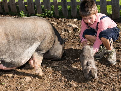 Bild 28 aus  Fillhof