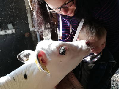 Bild 25 aus  Marienhof