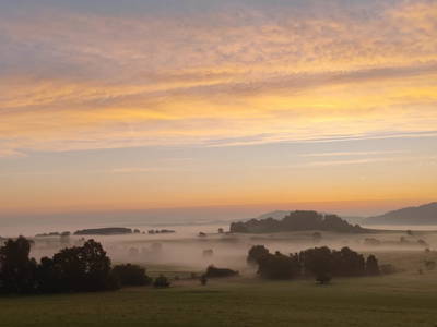 Bild 21 aus  Arabian Harmony