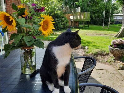 Bild 22 aus  Ferienhof Martens