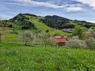 Bild 9 aus  Bergbauernhof Aichele