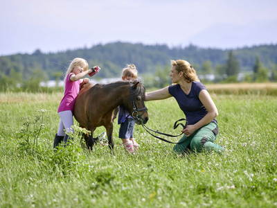 Bild 15 aus  Wastleicherhof am Chiemsee