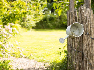 Bild 24 aus  "Ekenhoff"