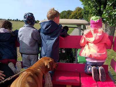 Bild 21 aus  LandSelection Ferienhof Friedrichsthal