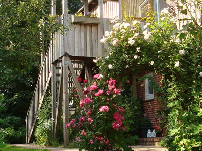 Bild 5 aus  Ferienhof Landfrieden