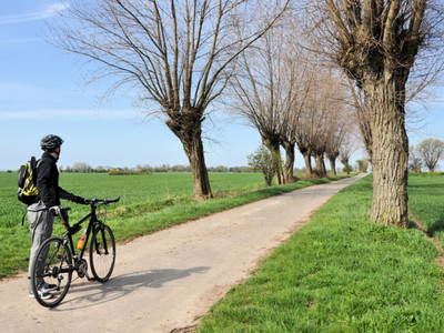 Bild 29 aus  Baustrup Hof