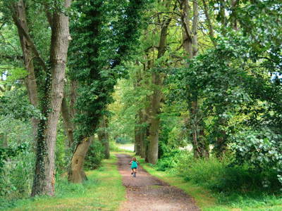 Bild 23 aus  Scheunenloft Usedom