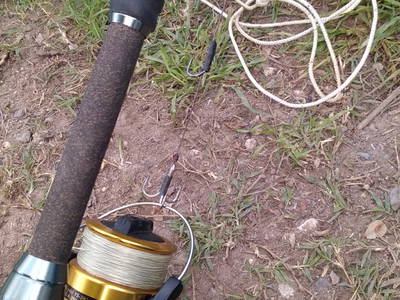 Bild 27 aus  Bauerhofurlaub zwischen den Touristenattraktionen Gardasee, Verona und Mantua