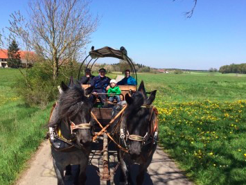 Bild 24 aus  Ferienwohnungen Strobel Eichstegen