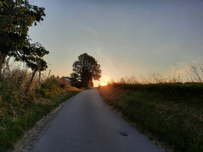 Bild 18 aus  Ferienwohnung Kiechle