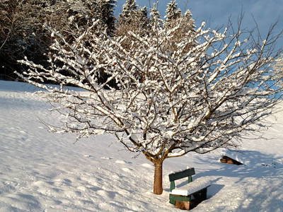 Bild 26 aus  Ferienhof Schmauß