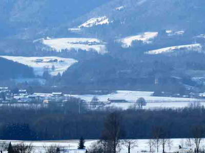 Bild 31 aus  Zacherlhof