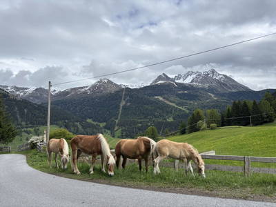 Bild 124 aus Riatschhof