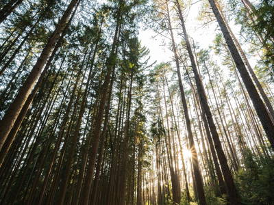 Bild 21 aus  Ferienhäuser Zur Schäferei