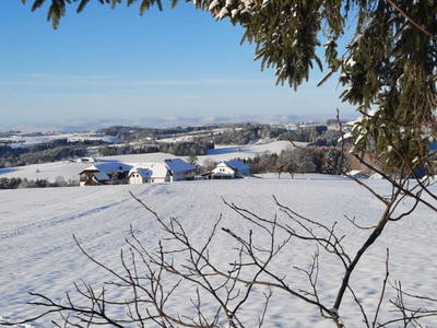 Bild 95 aus  Grainmeister