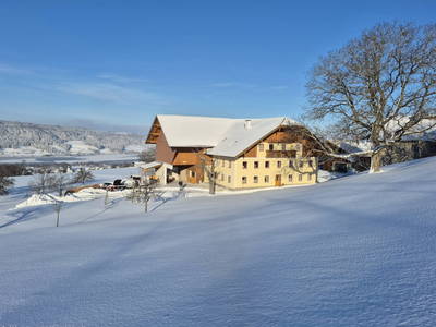 Bild 29 aus  Ferienhof Edtmeier 