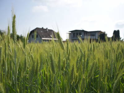 Bild 55 aus  Bauernhof Appartments Zechner