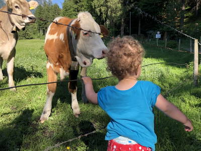 Bild 44 aus  Margreitterhof