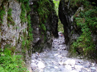 Bild 36 aus  Michlbauer