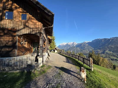 Bild 14 aus  Scharlinger Alm