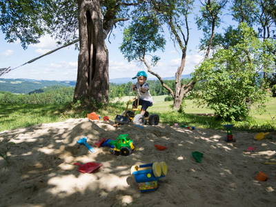 Bild 121 aus  Wittinghof