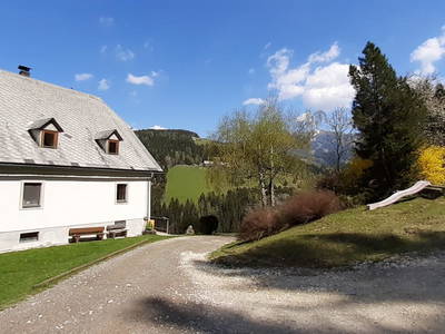 Bild 2 aus  Reiterhube