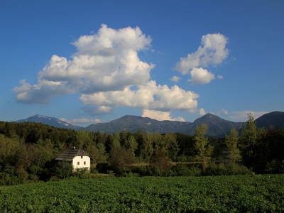 Bild 64 aus  Prebernighütte