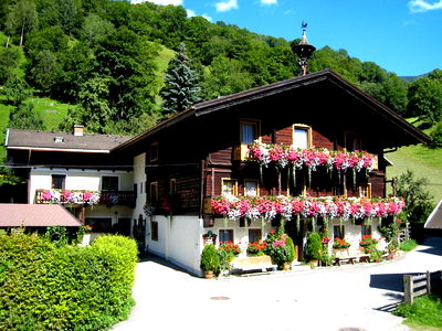 Bild 26 aus Bio - Bauernhof TORBAUER