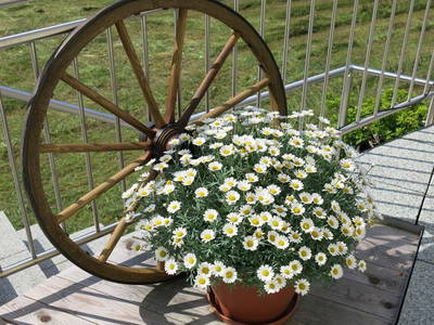 Bild 2 aus  Pension Klug