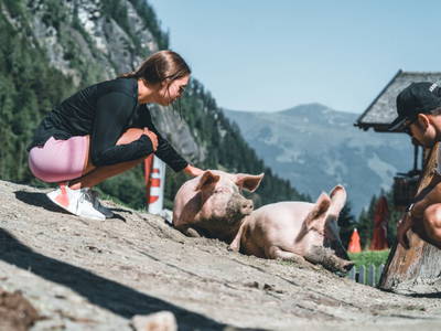 Bild 91 aus  Enzianhütte im Habachtal