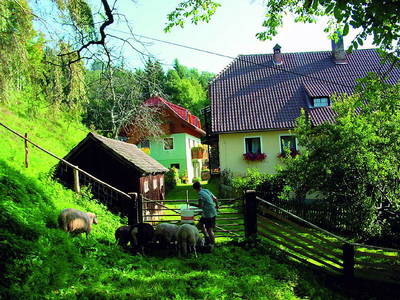 Bild 29 aus  Schlintl-Hof