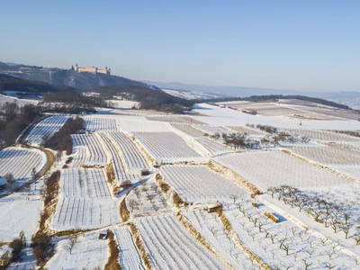 Bild 58 aus  Naturgartenurlaub - Steffis Ferienwohnungen