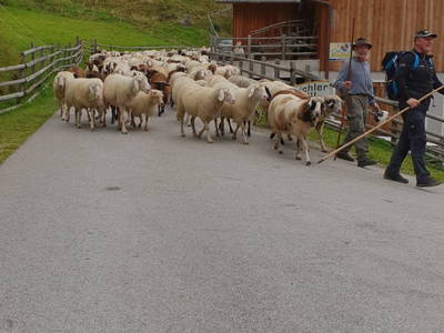 Bild 71 aus  Pöllitzgut