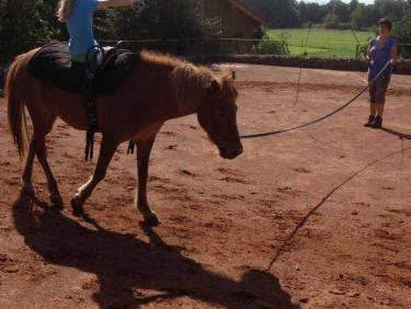 Bild 28 aus  Ferienwohnungen Strobel Eichstegen