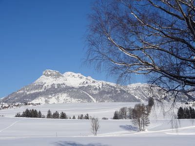 Bild 239 aus  Stanglhof