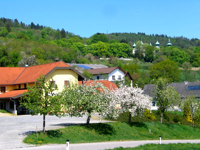 Bild 12 aus Blumentalhof