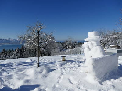 Bild 54 aus  Naturhof Innauer