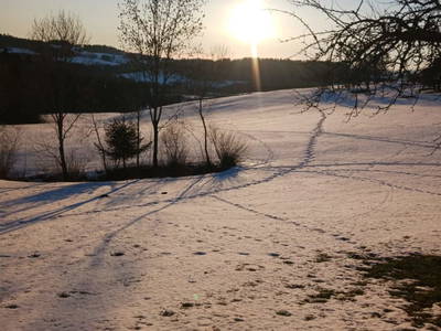 Bild 127 aus  Nußbaumer