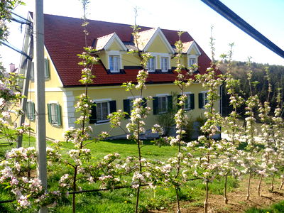 Bild 46 aus Apfelhof