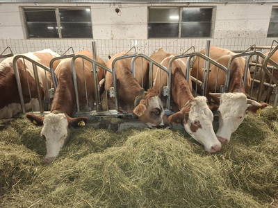 Bild 127 aus  Ablass