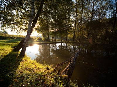 Bild 12 aus  Biohof Leutschach