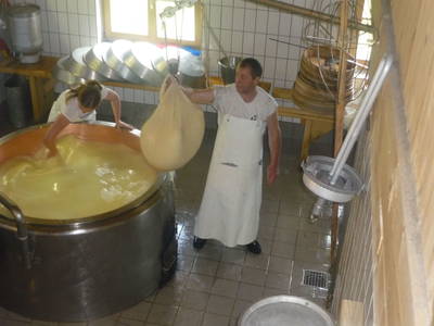 Bild 25 aus  Kinderbauernhof Felder